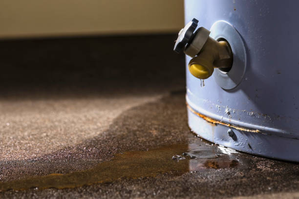 Best 24-hour water damage restoration  in Cliffwood Beach, NJ