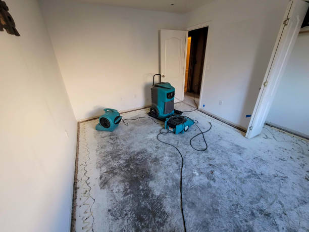 Best Flood restoration services  in Cliffwood Beach, NJ
