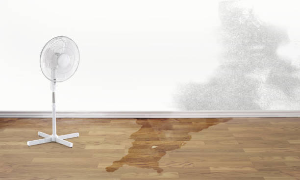 Best Flood damage cleanup  in Cliffwood Beach, NJ