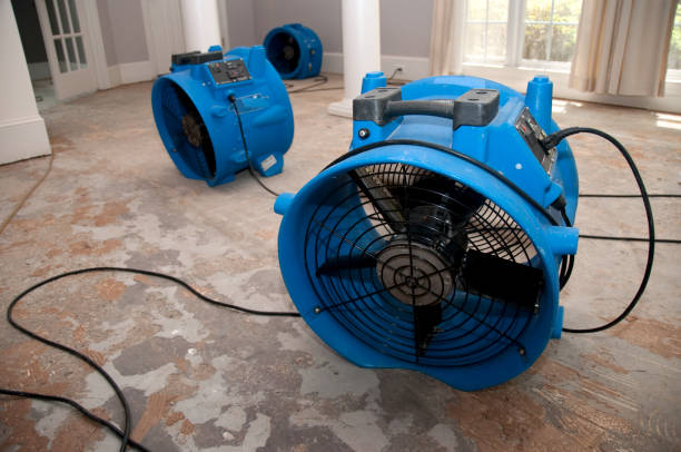 Best Mold removal after water damage  in Cliffwood Beach, NJ