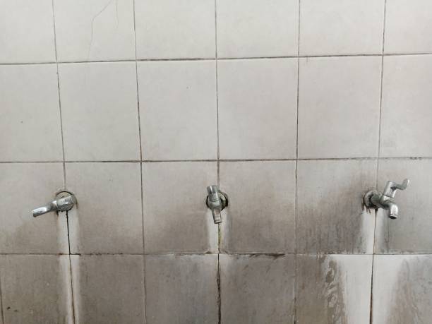 Best Carpet water damage restoration  in Cliffwood Beach, NJ